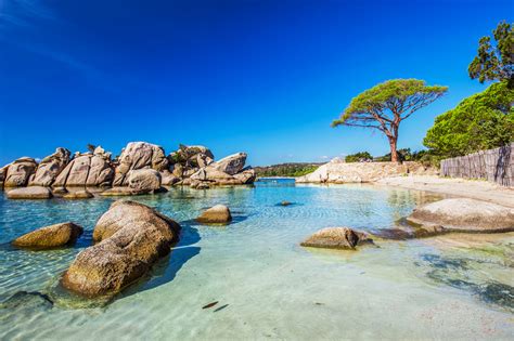 Where to Stay in Corsica: 8 Best Areas .